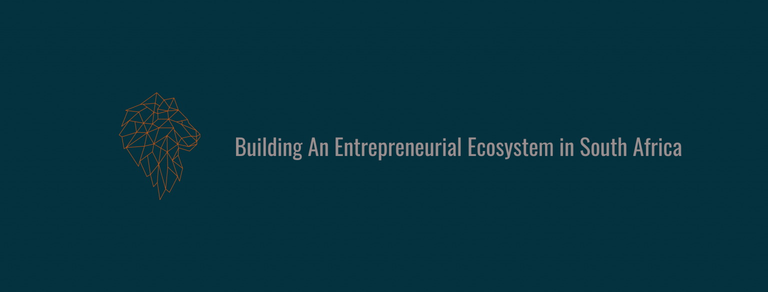 Building An Entrepreneurial Ecosystem in South Africa